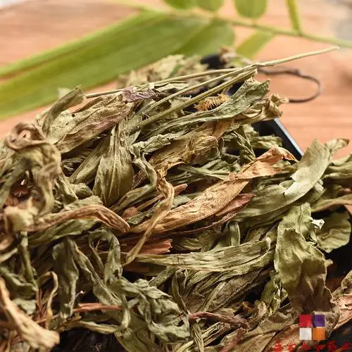 秋季幼儿养生怎么做 曝光绝对超实用秋季幼儿的养生保健知识大全