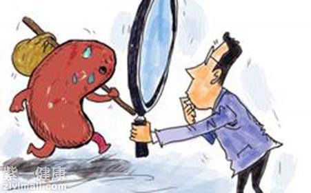 肾虚应当如何调理 肾虚脾虚调理方法大全