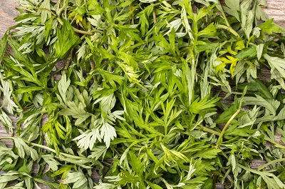 泡澡用什么中药好 【图】效果极佳的四种中药